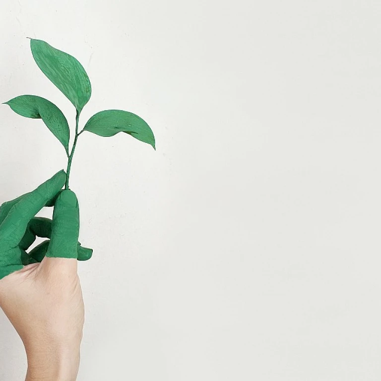 Optimizing HR Document Management for Compensation and Benefits